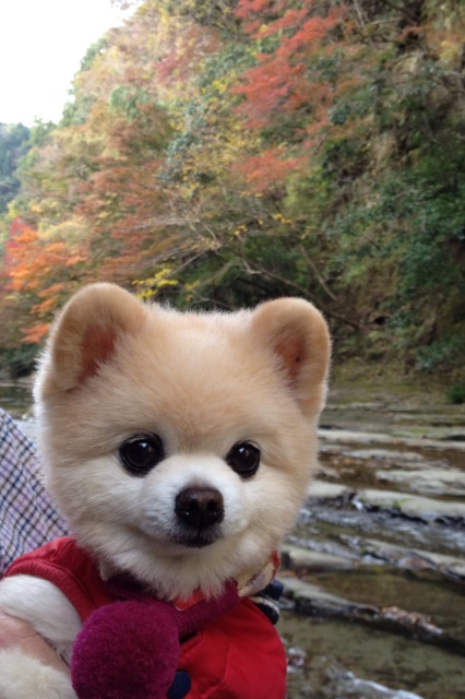 24-Shunsuke